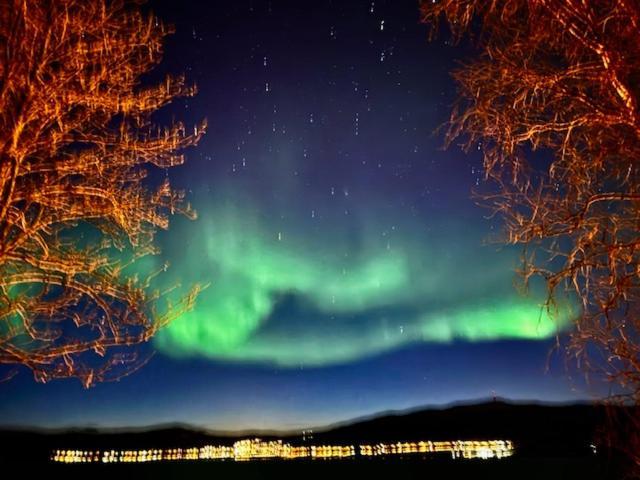 Brostadbotn Bed And Breakfast Nordic Horn المظهر الخارجي الصورة